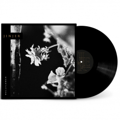 Wallflowers - BLACK Vinyl